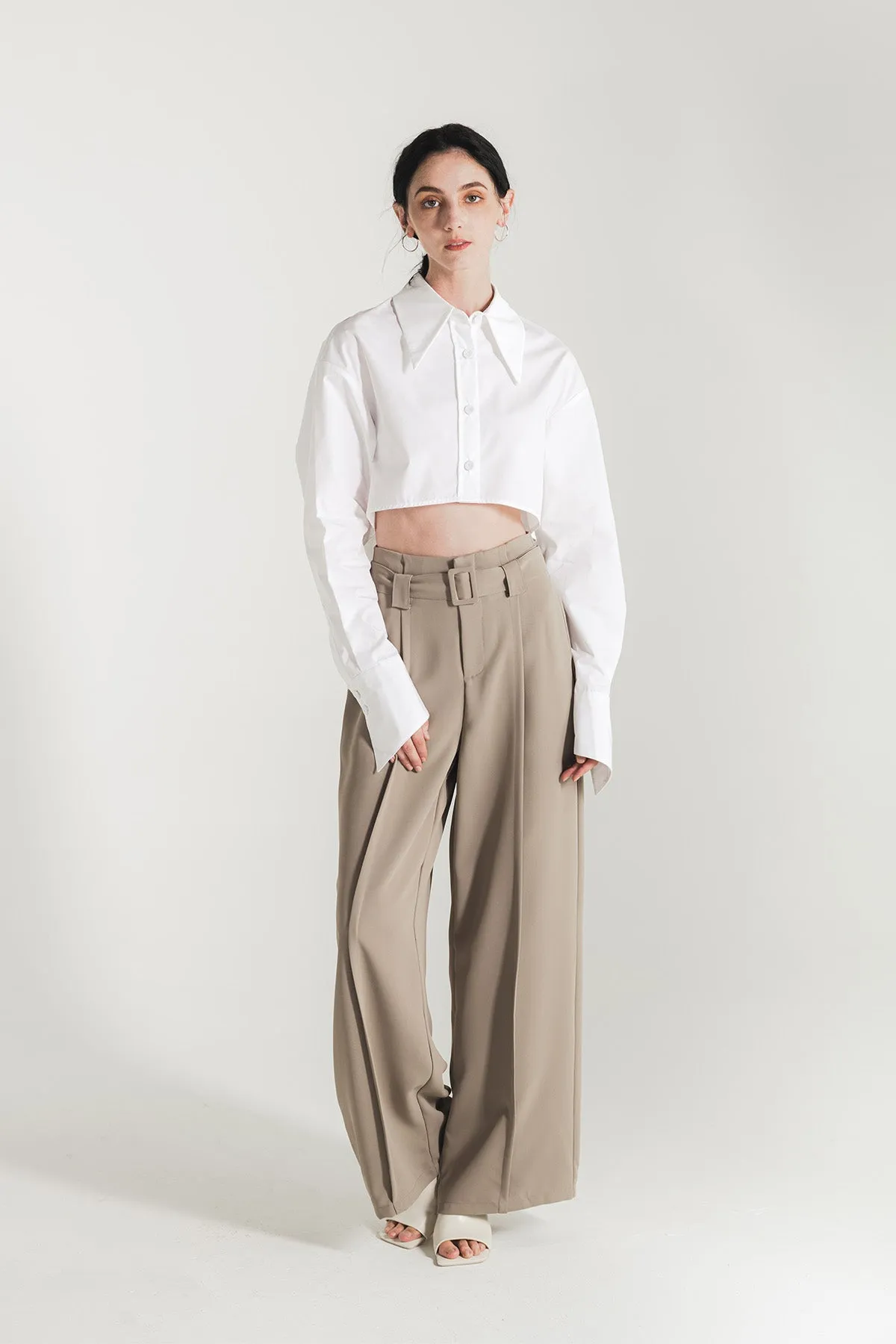 Calleane Belted High Waist Wide Pants