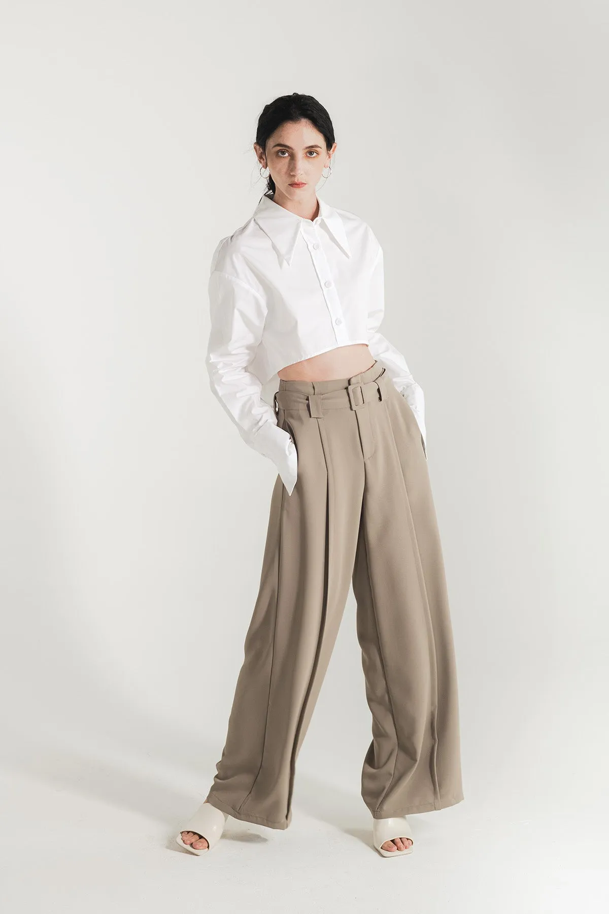 Calleane Belted High Waist Wide Pants