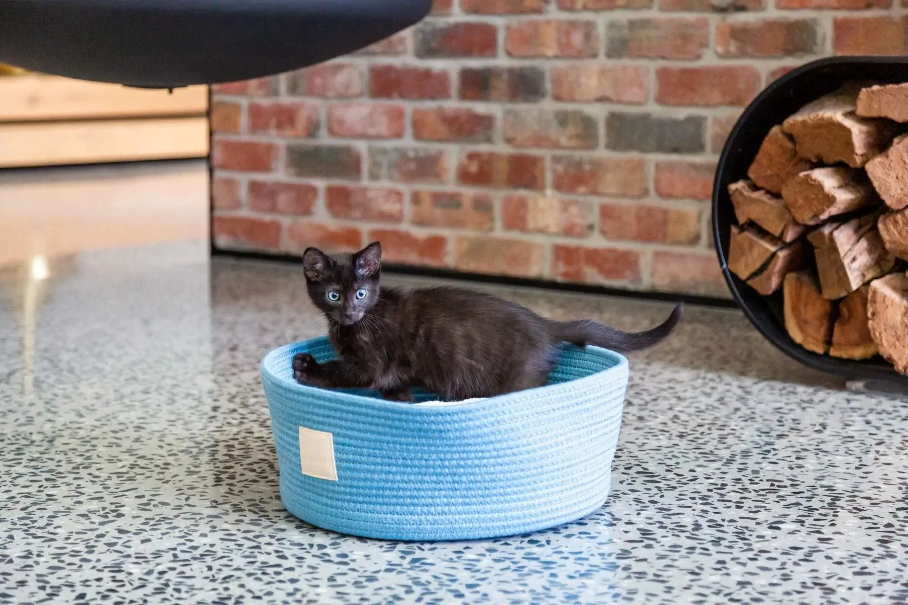 Life Rope Basket Pet Bed