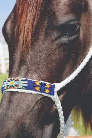 PROFESSIONAL CHOICE ROPE HALTERS/HRCB