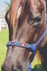 PROFESSIONAL CHOICE ROPE HALTERS/HRCB